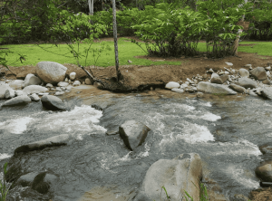 Screenshot 2025-01-09 at 4.23.01 PM